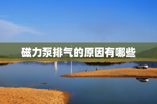 磁力泵排气的原因有哪些
