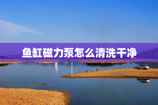 鱼缸磁力泵怎么清洗干净