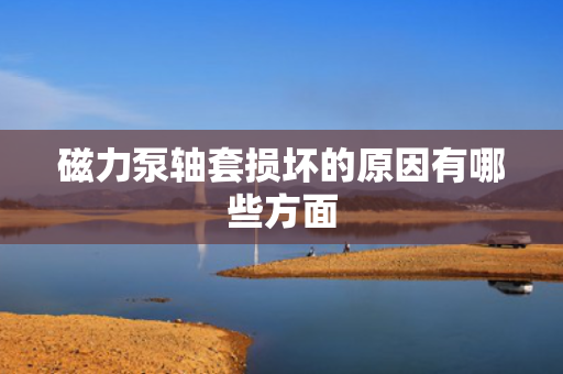 磁力泵轴套损坏的原因有哪些方面
