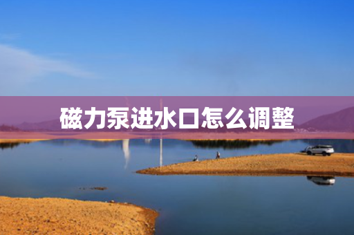 磁力泵进水口怎么调整