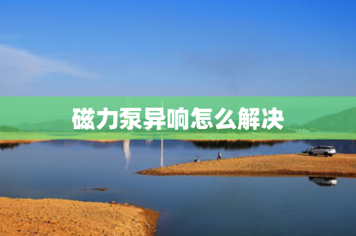 磁力泵异响怎么解决