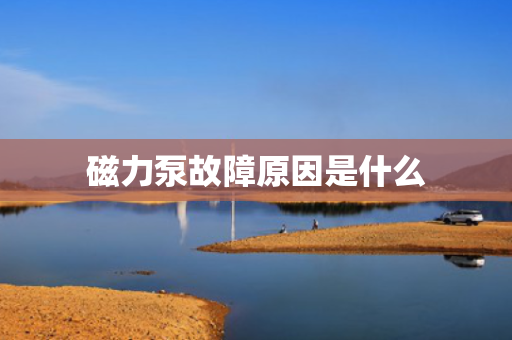 磁力泵故障原因是什么