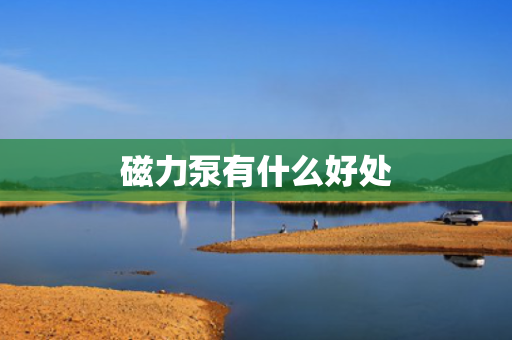 磁力泵有什么好处