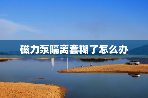 磁力泵隔离套糊了怎么办