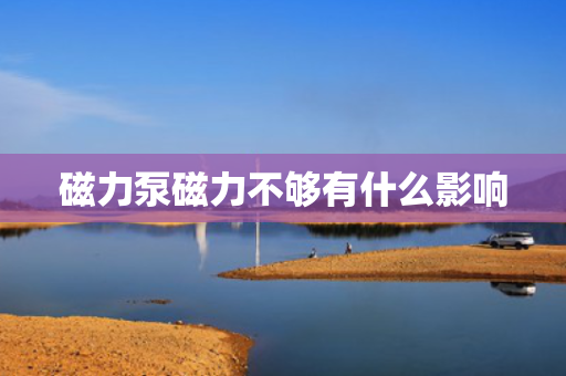磁力泵磁力不够有什么影响
