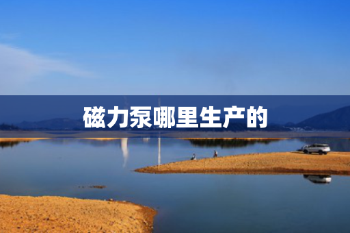 磁力泵哪里生产的