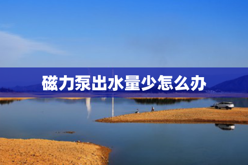 磁力泵出水量少怎么办