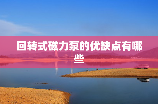 回转式磁力泵的优缺点有哪些