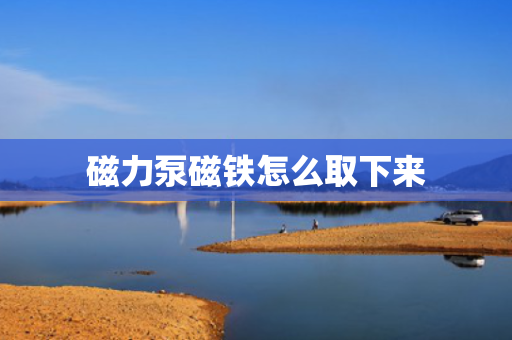 磁力泵磁铁怎么取下来