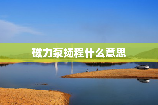 磁力泵扬程什么意思