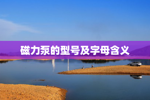 磁力泵的型号及字母含义