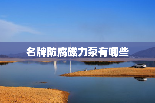 名牌防腐磁力泵有哪些