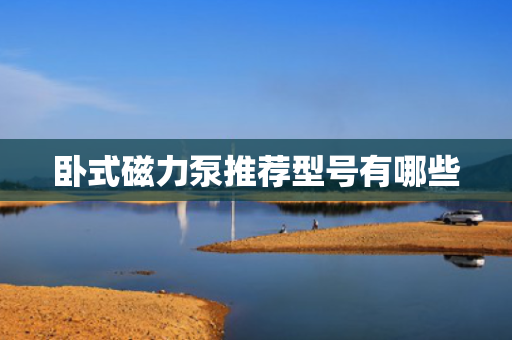 卧式磁力泵推荐型号有哪些