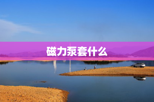 磁力泵套什么