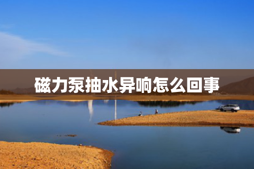 磁力泵抽水异响怎么回事