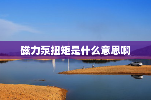 磁力泵扭矩是什么意思啊