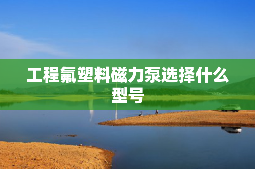 工程氟塑料磁力泵选择什么型号