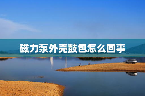 磁力泵外壳鼓包怎么回事