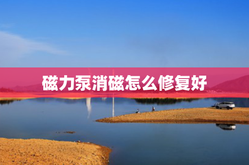 磁力泵消磁怎么修复好