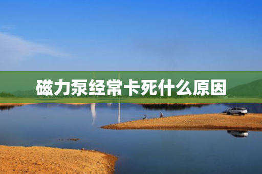 磁力泵经常卡死什么原因