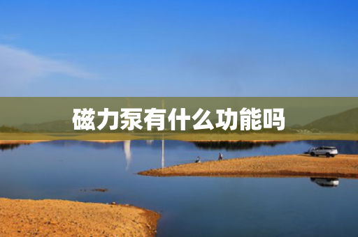 磁力泵有什么功能吗