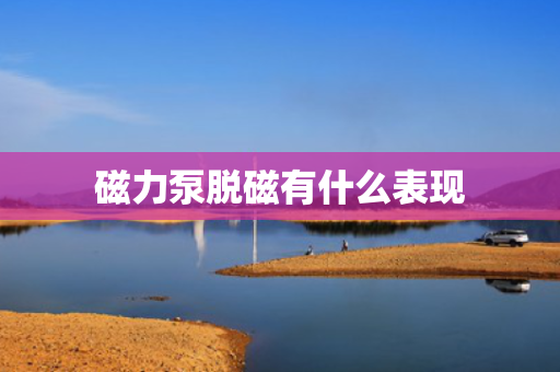 磁力泵脱磁有什么表现