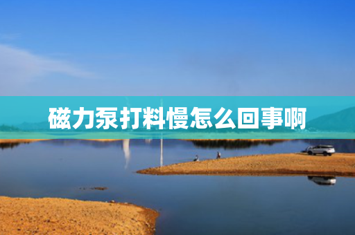 磁力泵打料慢怎么回事啊