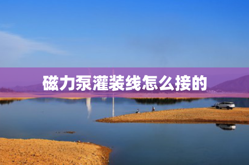 磁力泵灌装线怎么接的