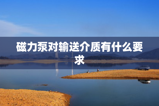 磁力泵对输送介质有什么要求