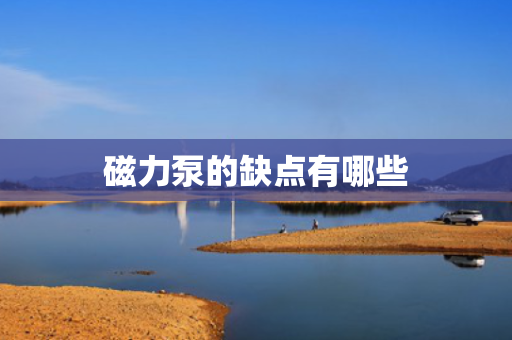 磁力泵的缺点有哪些