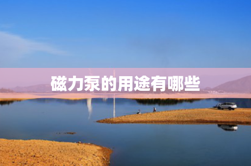 磁力泵的用途有哪些