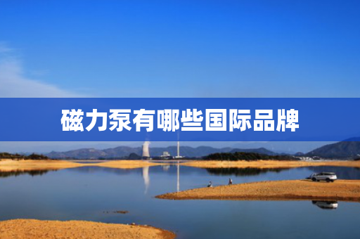 磁力泵有哪些国际品牌