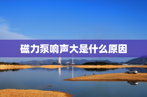 磁力泵响声大是什么原因