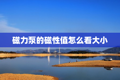 磁力泵的磁性值怎么看大小