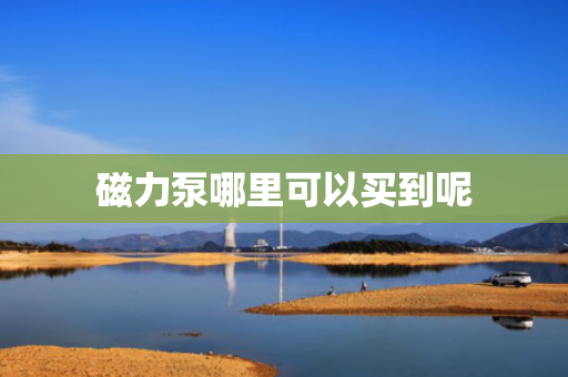 磁力泵哪里可以买到呢