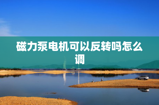 磁力泵电机可以反转吗怎么调