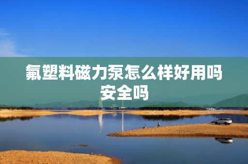 氟塑料磁力泵怎么样好用吗安全吗