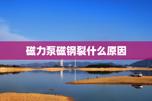 磁力泵磁钢裂什么原因
