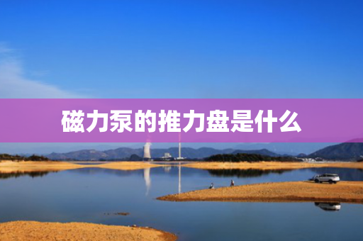 磁力泵的推力盘是什么