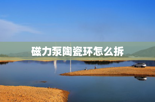 磁力泵陶瓷环怎么拆