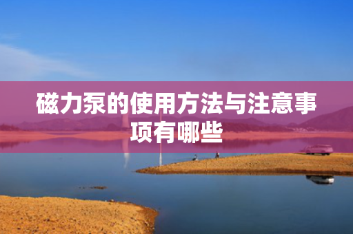 磁力泵的使用方法与注意事项有哪些