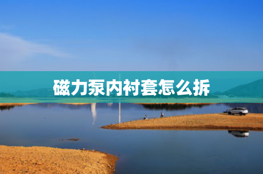 磁力泵内衬套怎么拆
