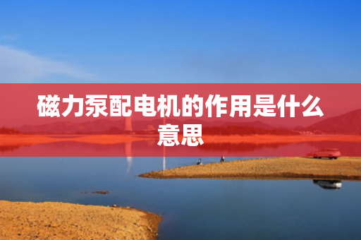 磁力泵配电机的作用是什么意思