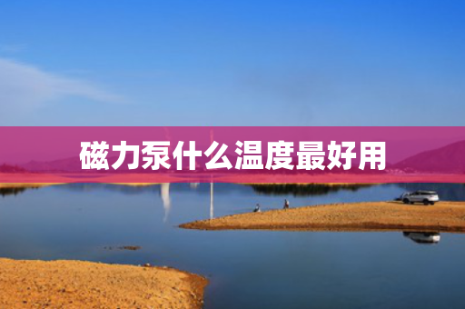 磁力泵什么温度最好用