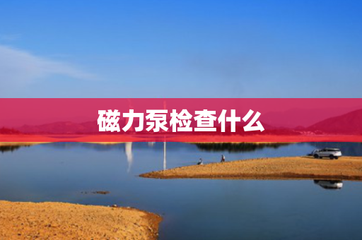 磁力泵检查什么