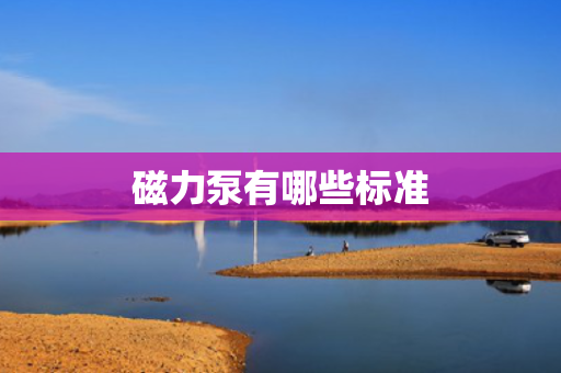 磁力泵有哪些标准