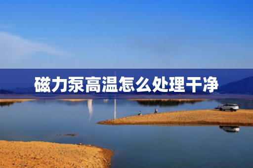 磁力泵高温怎么处理干净