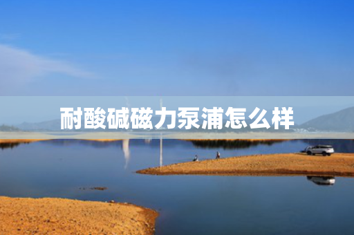 耐酸碱磁力泵浦怎么样