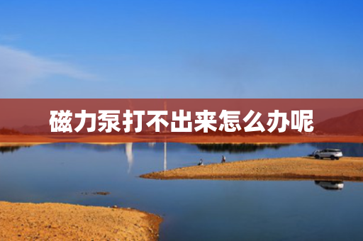 磁力泵打不出来怎么办呢