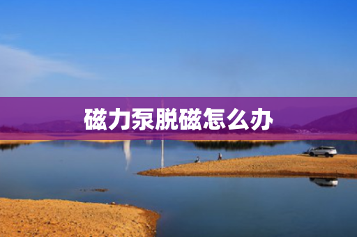 磁力泵脱磁怎么办